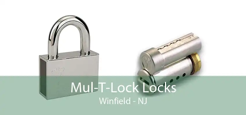 Mul-T-Lock Locks Winfield - NJ